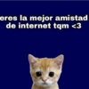 Gatos 2 😹😹😹 6