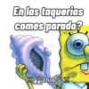 En las taquerias comes parado? Did