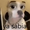 ya sabia