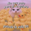 No soy pato pero sí te quiero patoda la vida bb