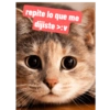 Gatito 5