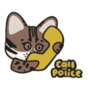 Cam Police