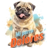 Mi perro Dolores
