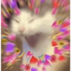 Gatitos Shitpost 😈🤑 6