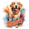Mi perro Shanti