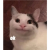 ok