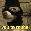 vou te roubei