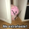 Me extrañaste?