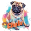 Mi perro Chubi