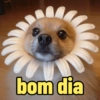 bom dia