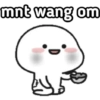 mnt wang om