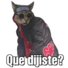 Que dijiste?