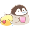 Pollito y pingüino 10