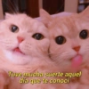 Tuve mucha suerte aquel día que te conocí