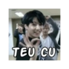 ter TEU CU