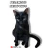 PELAMODI DEUS VIU! Júlio e Eu