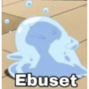 Ebuset