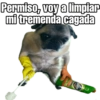 Permiso, voy a limpiar mi tremenda cagada @SoyChoogomilg De