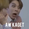 Meme kpop indo 12