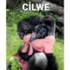 CILWE
Sticker Lu