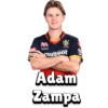RCB (Bangalore) (IPL) 4