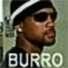 BURRO