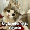 Soy la reina de tu corazón @Harley Stickers