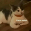 Como sabes