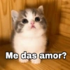 Harley Stickers Me das amor?