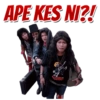 SUKAPLA Rock Series 13