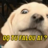 00 TU FALOU AI?