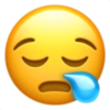 Iphone emoji 28