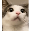 Monkeycatluna 8