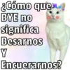 🐱🐾Mishis Para Tu Crush II💘😻  9