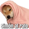 Memes pa' decir SI A TODO 16