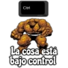 Ctrl
Ⓒostiche
La cosa está
bajo control