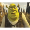 Shrek memes 8