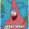 SESAT SESAT