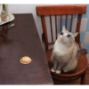 12110