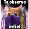 Te observo
infiel