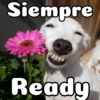 Peyitos Bonitos❤️🐕 13