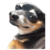 Memes para planejar algo 🤔 8