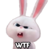 WTF C ©ciseclove Stickers