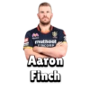 RCB (Bangalore) (IPL) 3
