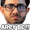 CarryMinati 11