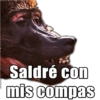 Saldré con mis compas