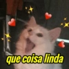 que coisa linda