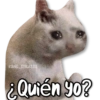 KANE_STICKERS
¿Quién yo?