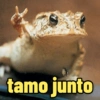 Reações e memes 😁 15