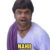 Rajpal Yadav 2.0 13
